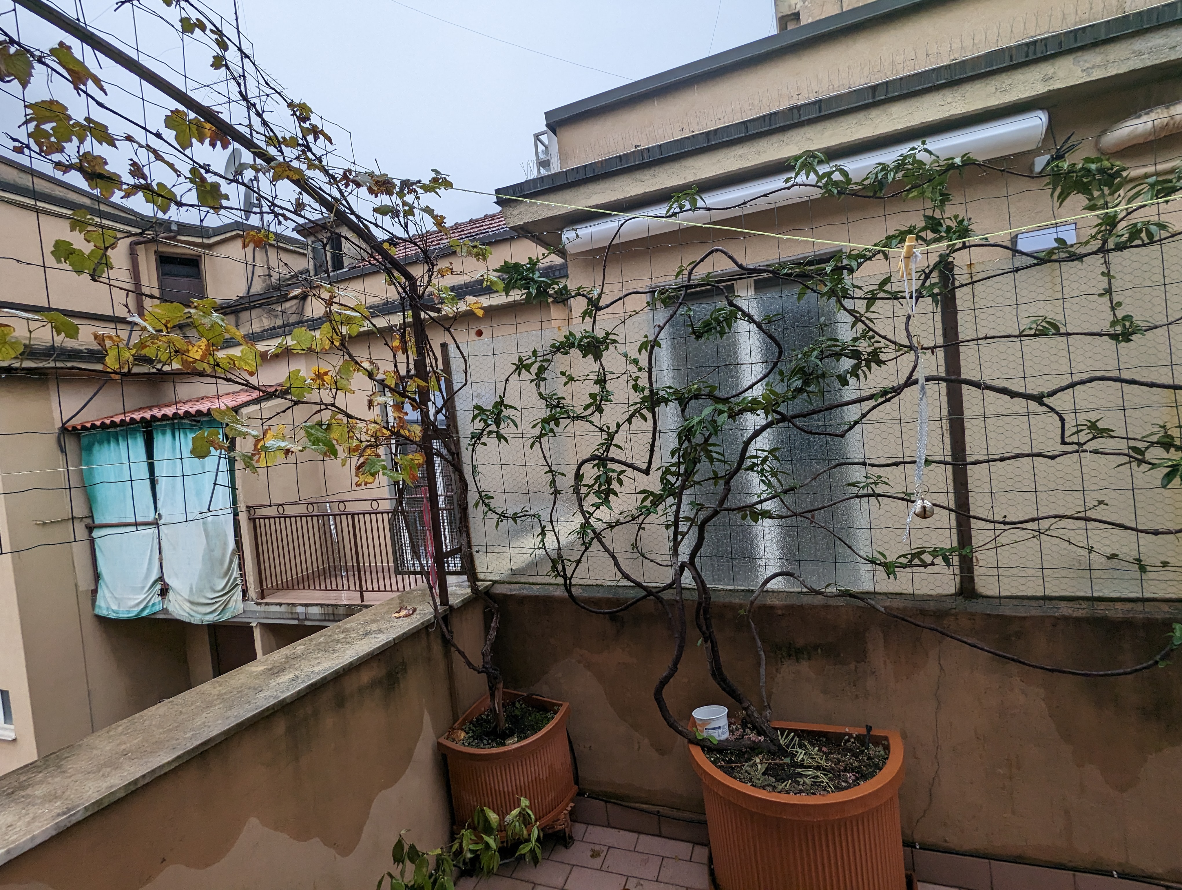 BELGIRATE13 - ROOM 1