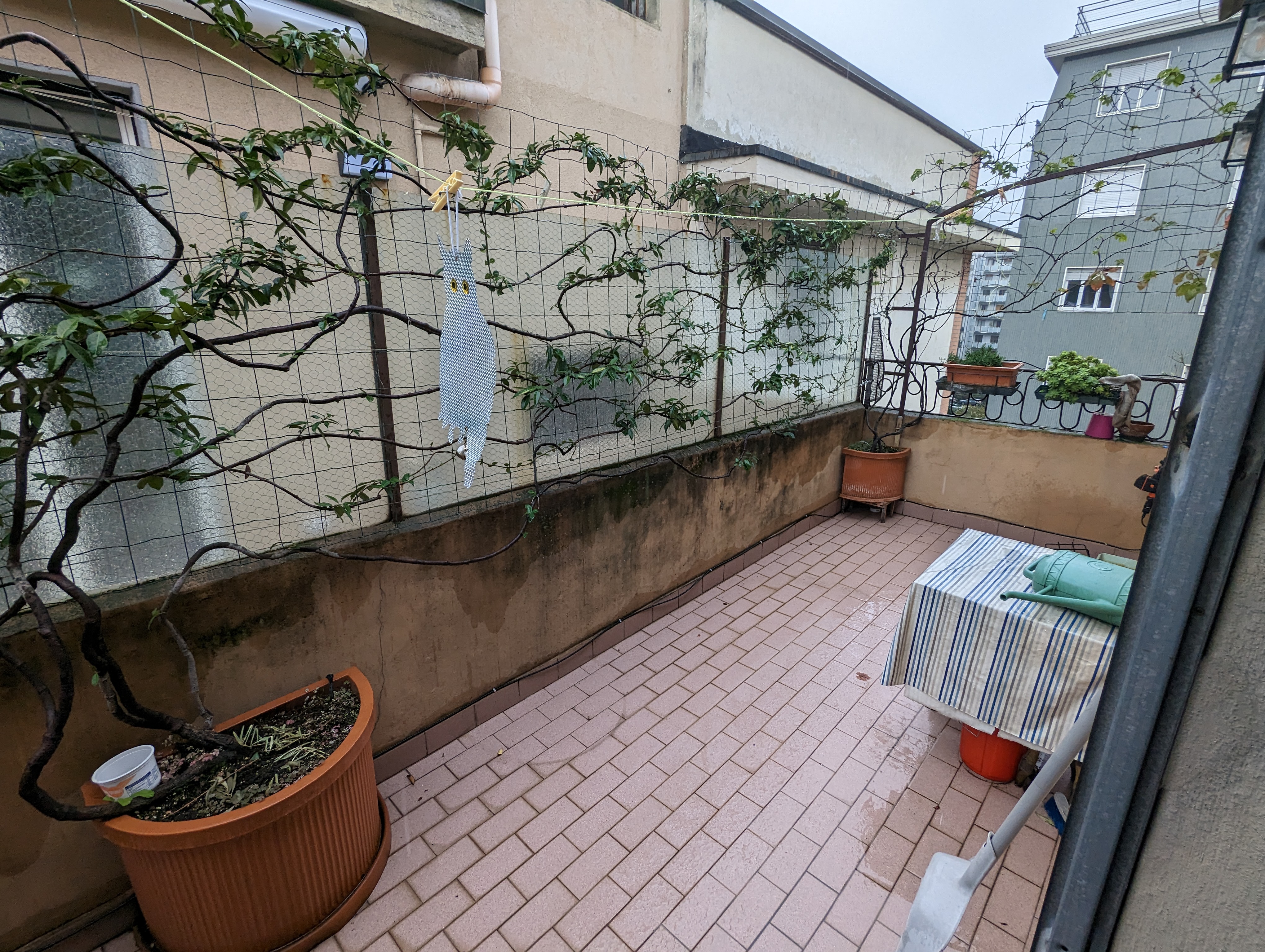 BELGIRATE13 - ROOM 1